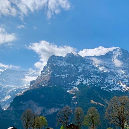 Eiger, Jungfrau, Luxury Garden Apartment Гріндельвальд Екстер'єр фото